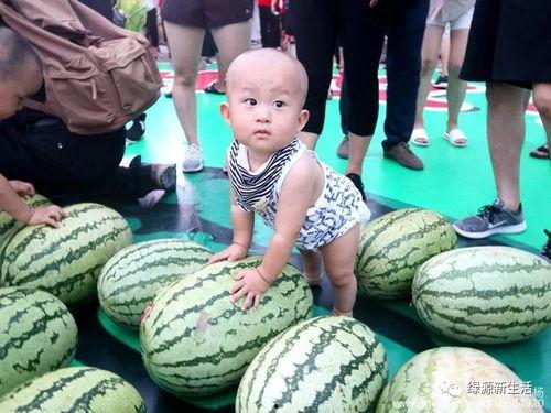 吃瓜汇总视频,盘点热门事件背后的真相与笑料