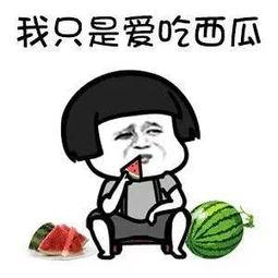 娱乐吃瓜了图片