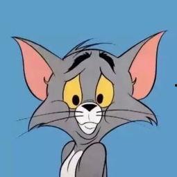 动漫搞笑汤姆猫