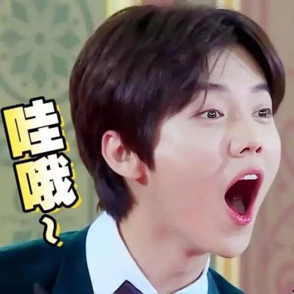 柳善皓表情包